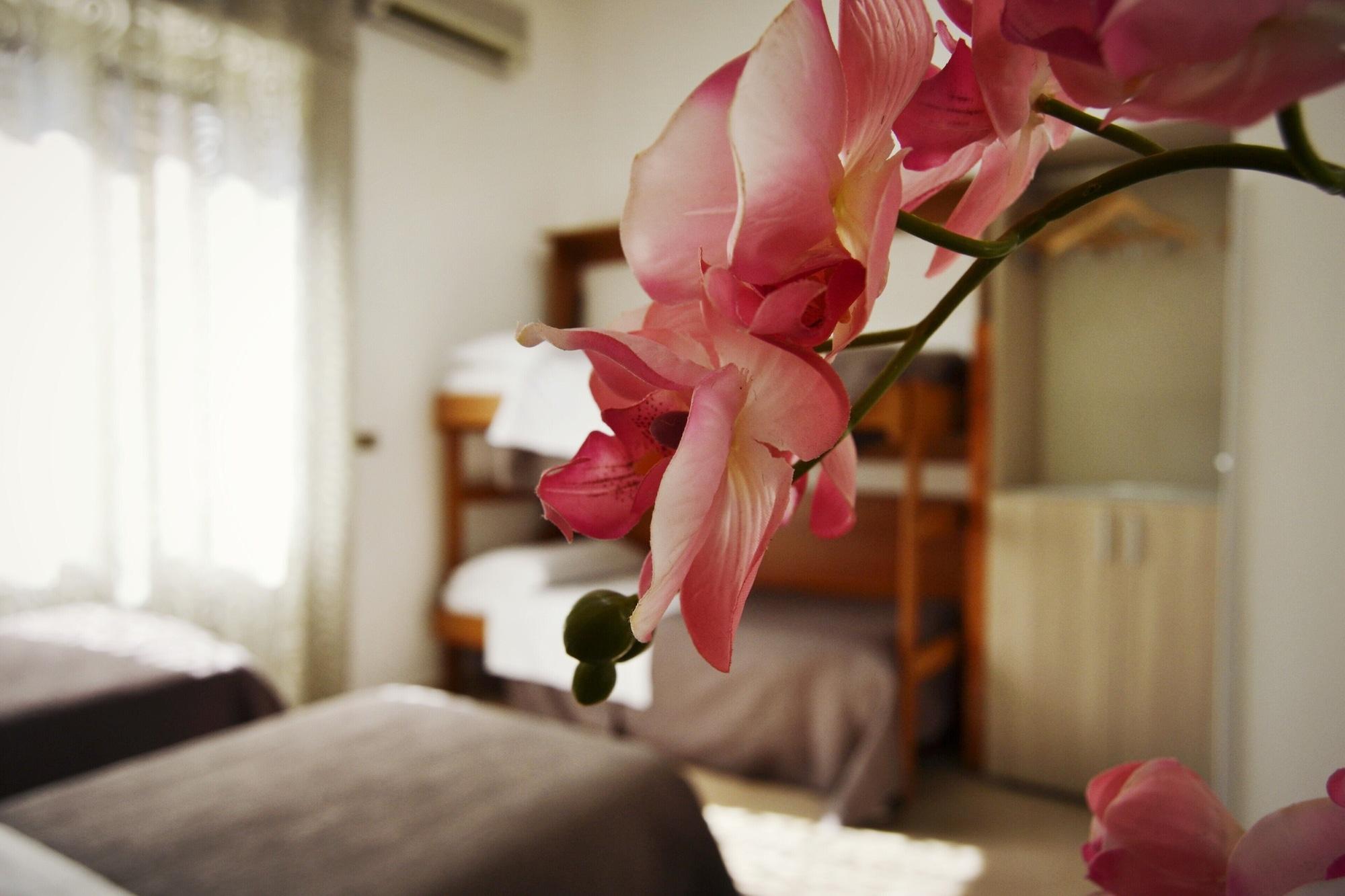 Hotel Colombo Napoli Ngoại thất bức ảnh