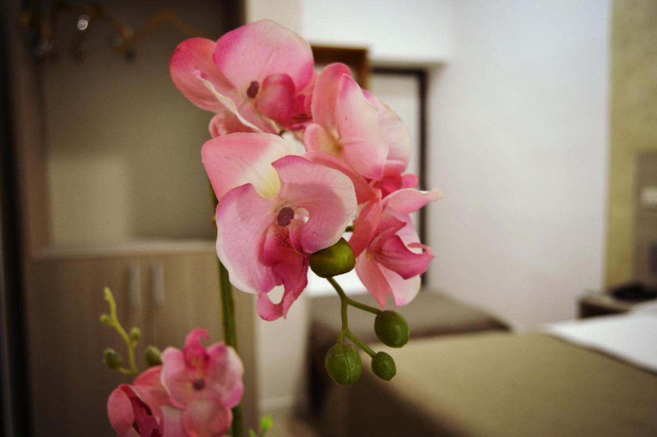 Hotel Colombo Napoli Ngoại thất bức ảnh